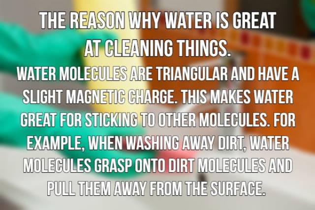 Science Explains Things You Always Wondered About