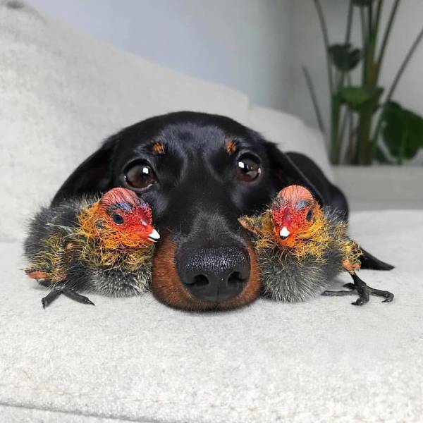 Fine Examples When A Picture Says More Than Just A Thousand Words