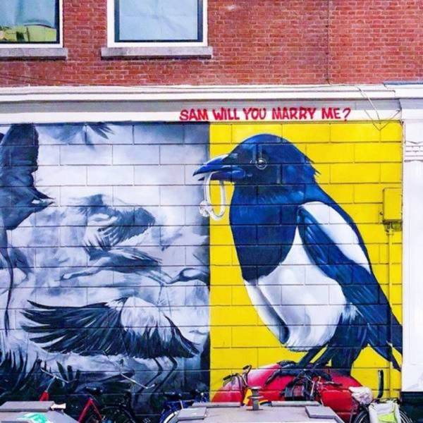 Fine Examples When A Picture Says More Than Just A Thousand Words