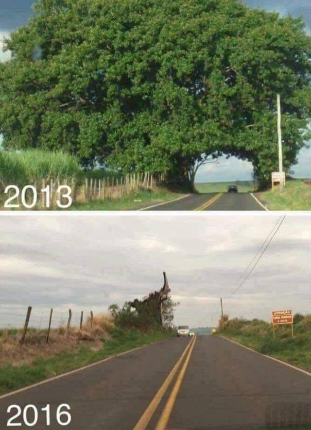 Daily Picdump [WEEKEND EDITION]