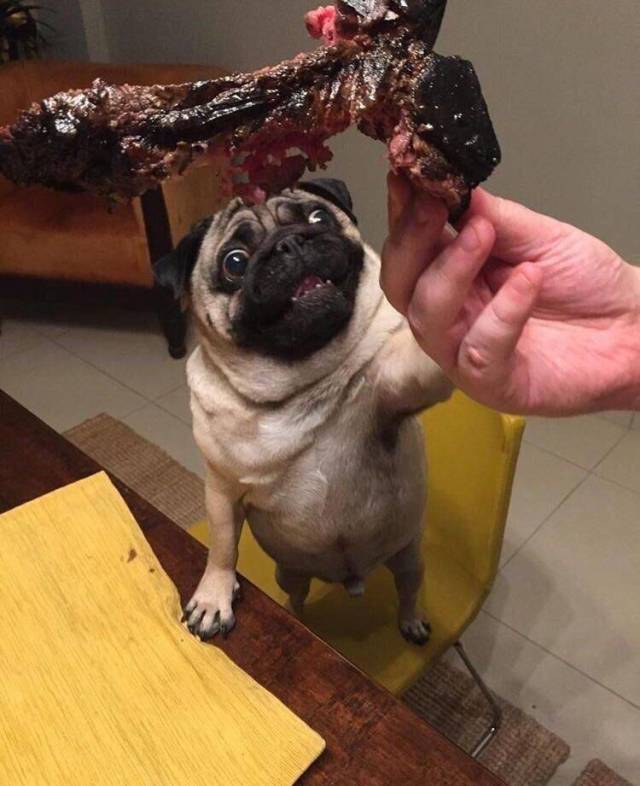 Daily Picdump [WEEKEND EDITION]