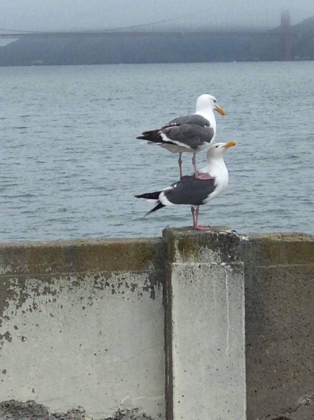 Daily Picdump [WEEKEND EDITION]