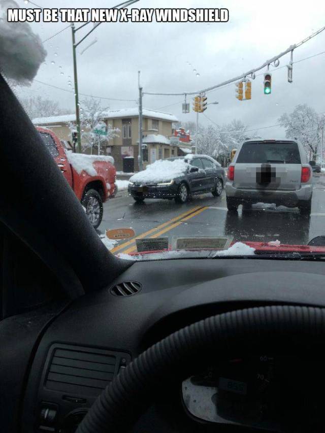 Some Drivers Are Not The Brightest Of People