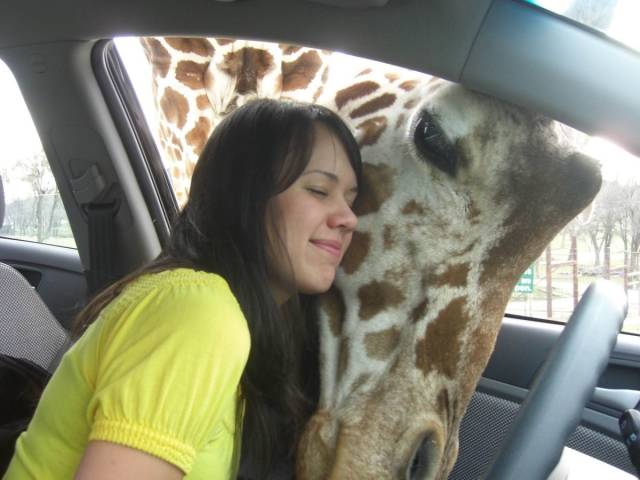Daily Picdump