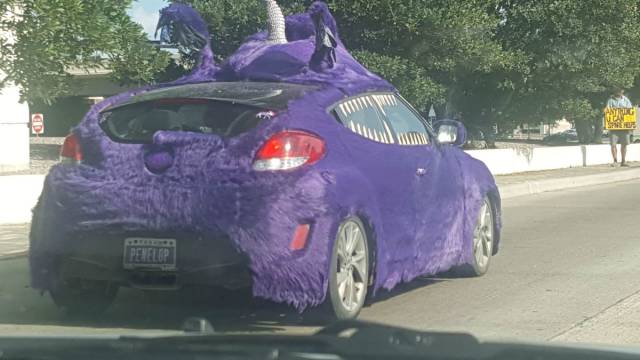Daily Picdump