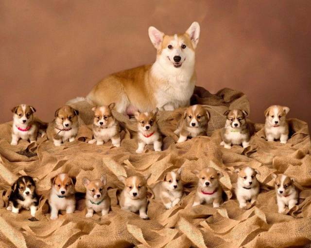 Daily Picdump