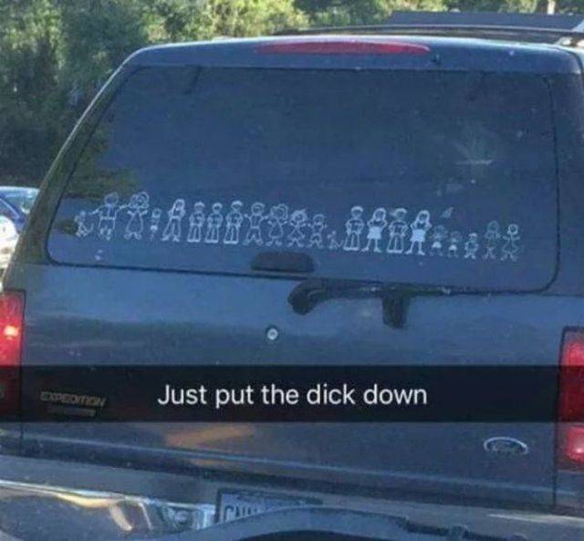 Daily Picdump
