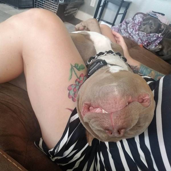 Daily Picdump