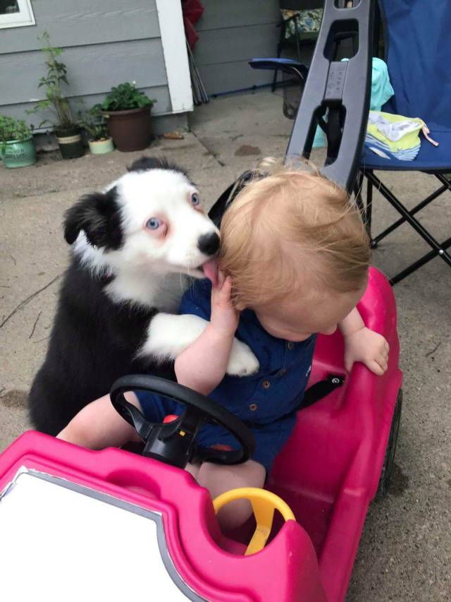 Daily Picdump