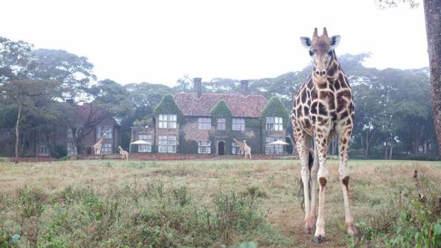 Hotels You Wouldn’t Want To Miss During Your Trips Around The World