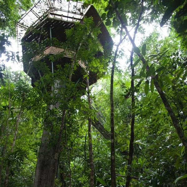 Hotels You Wouldn’t Want To Miss During Your Trips Around The World