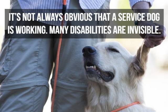 Infinitely Loyal Facts About Service Dogs