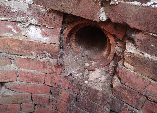 Never Ask The Internet About Mysterious Holes In Your Garden…