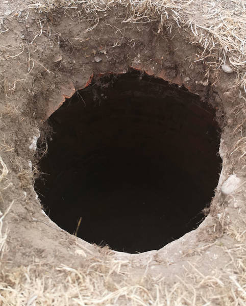 Never Ask The Internet About Mysterious Holes In Your Garden…