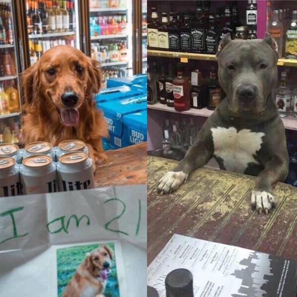Daily Picdump