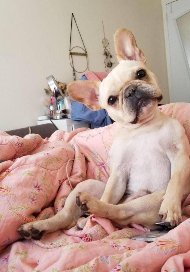 Daily Picdump