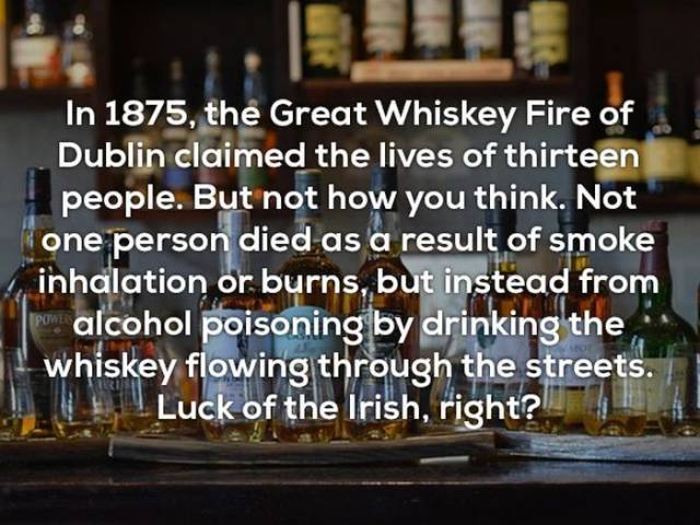 Facts That You Literally Will Never Use