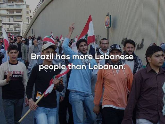 Facts That You Literally Will Never Use