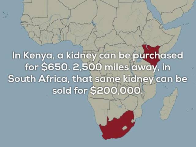 Facts That You Literally Will Never Use