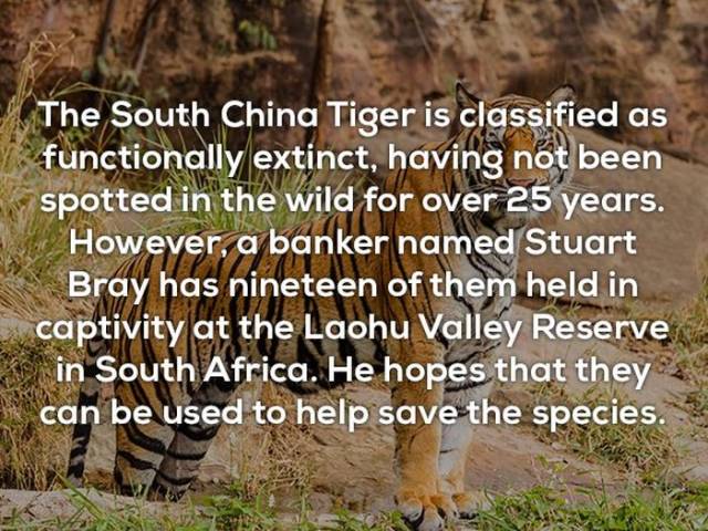 Facts That You Literally Will Never Use