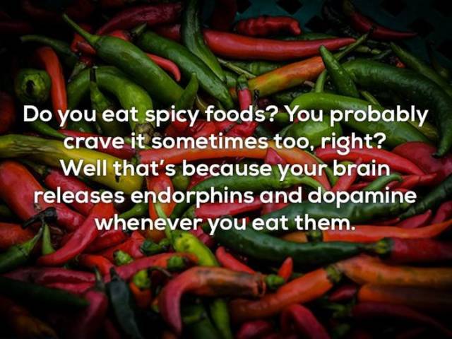 Facts That You Literally Will Never Use