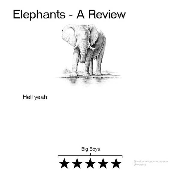 Every Animal Gets Their Own Review, And It