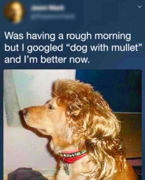 Humor Is The Essential Part Of Our Lives
