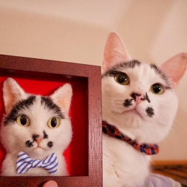 This Japanese Artist Creates Incredibly Perfect Cat Portraits Using Needle Felting Method