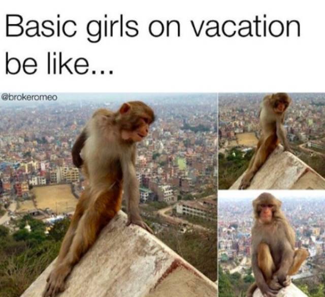 You Can Never Get Tired Of Vacation Memes