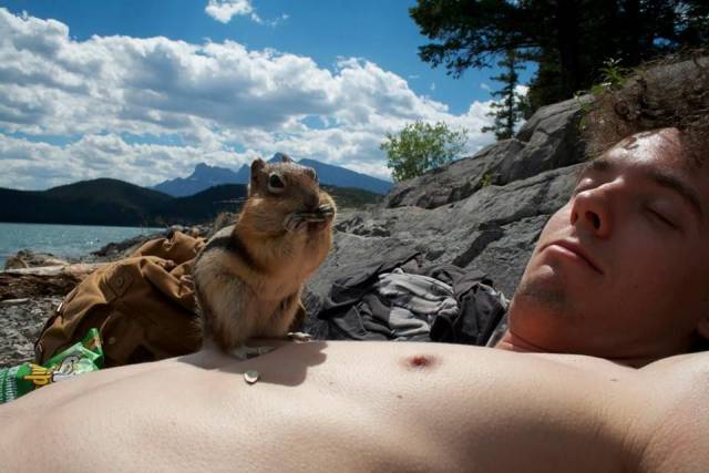 Daily Picdump