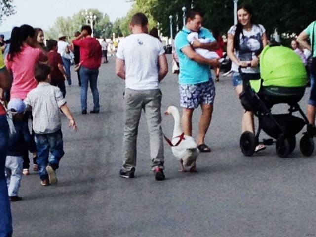 Daily Picdump