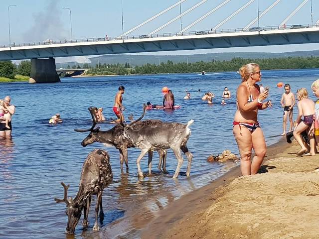 Daily Picdump