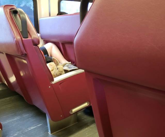Daily Picdump