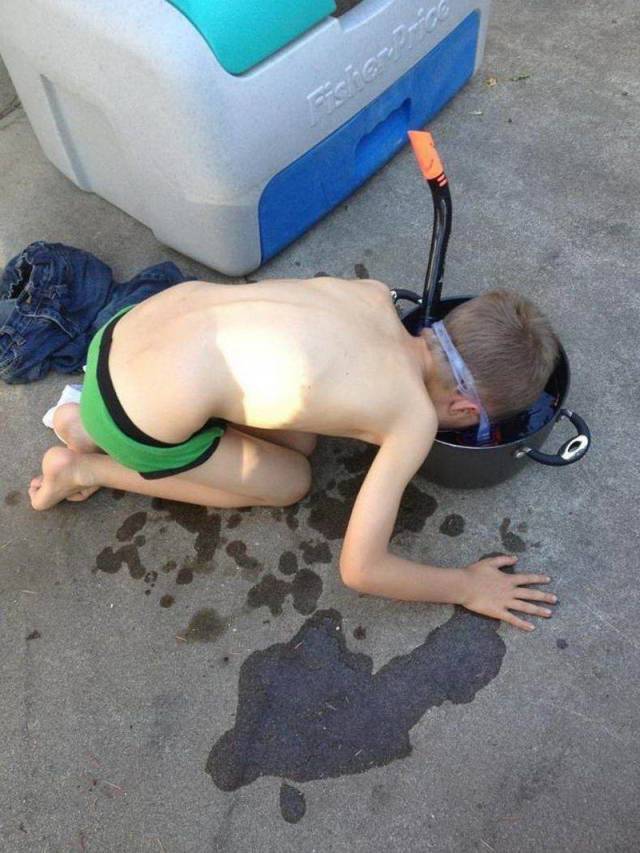 Daily Picdump