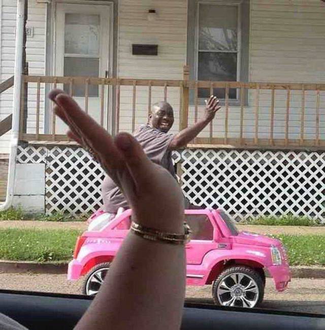 Daily Picdump