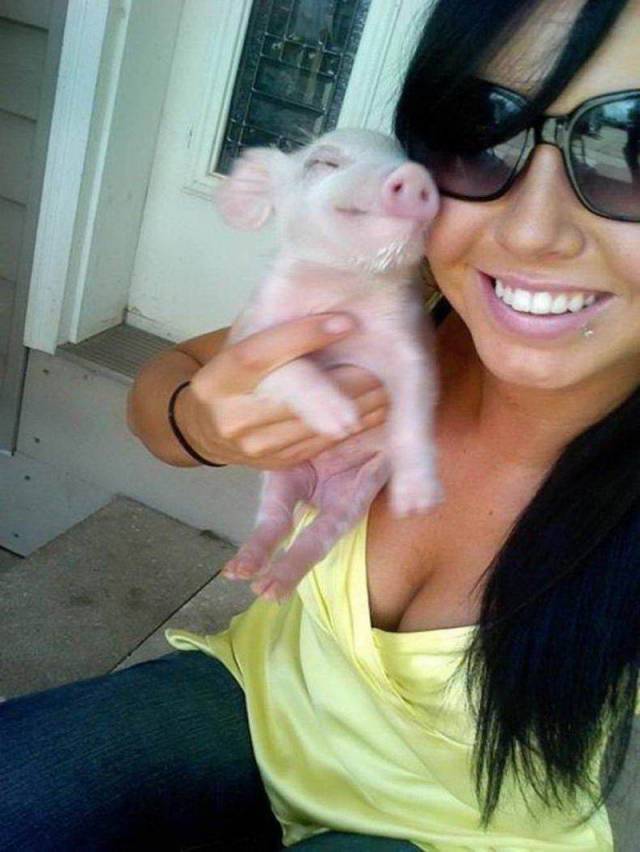 Daily Picdump