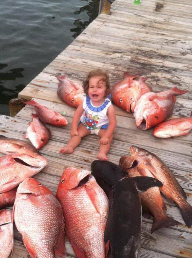 Daily Picdump