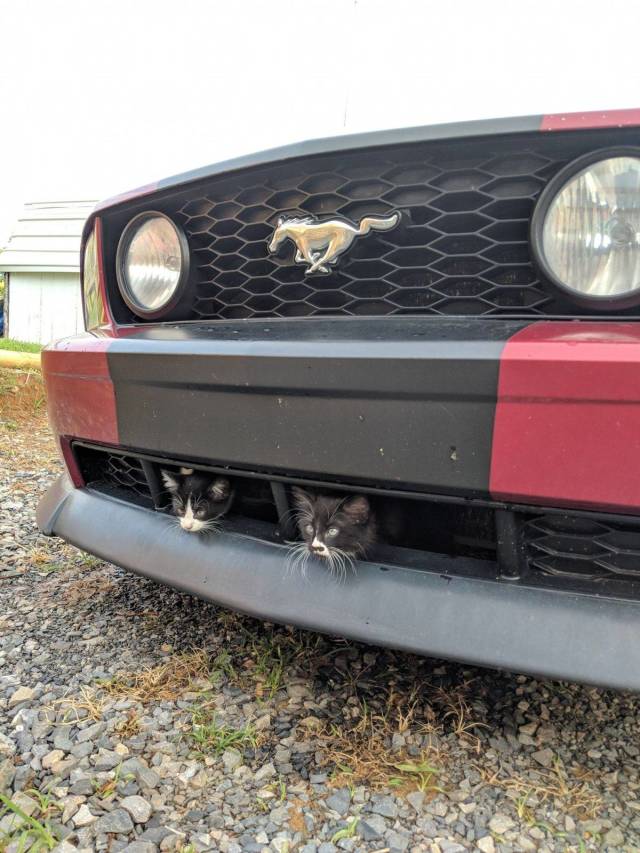 Daily Picdump