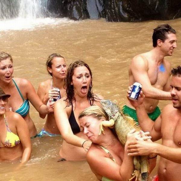 Daily Picdump