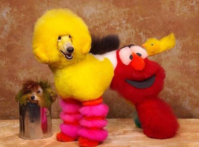 Daily Picdump