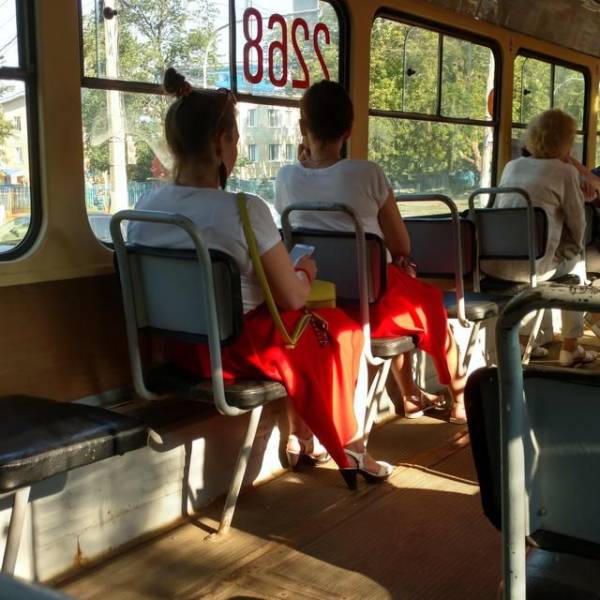 Daily Picdump