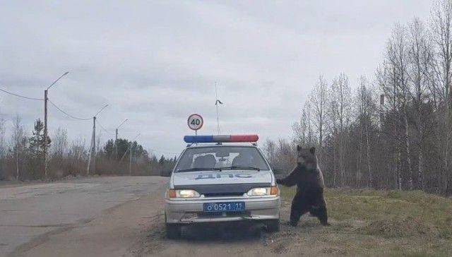 Daily Picdump