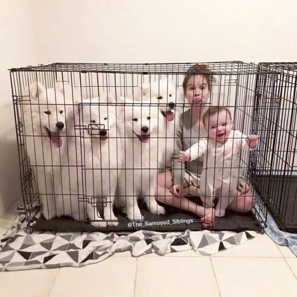 Daily Picdump