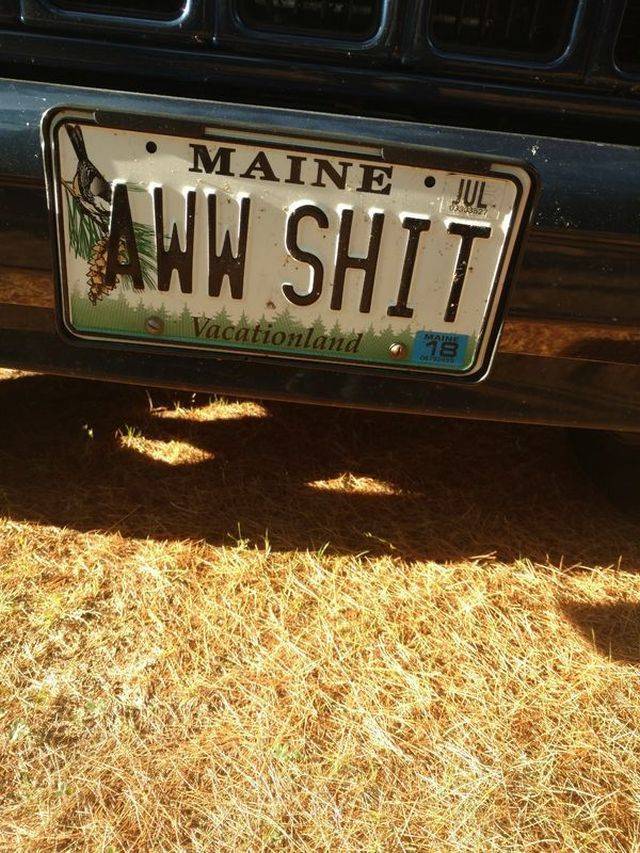 Daily Picdump