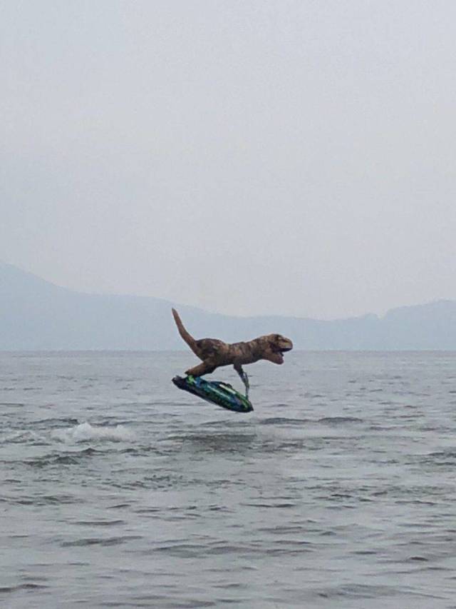 Daily Picdump
