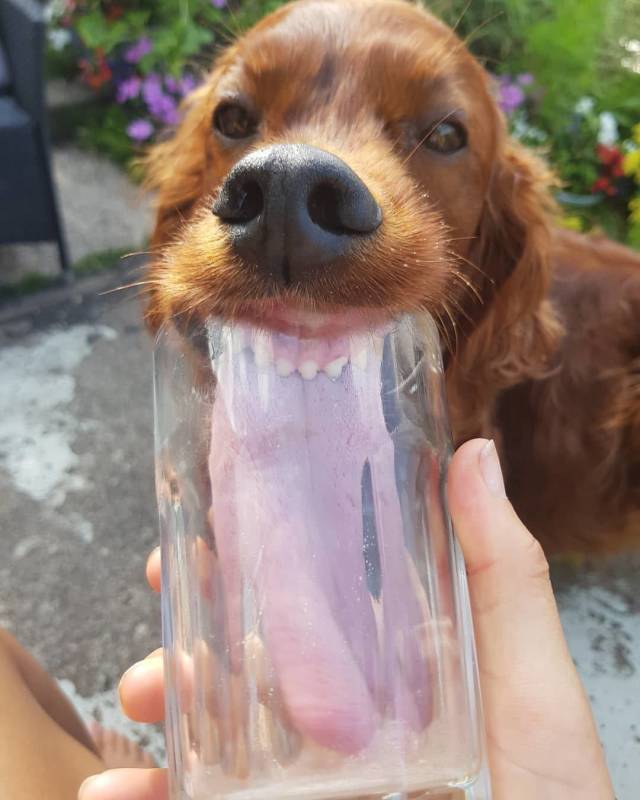 Daily Picdump