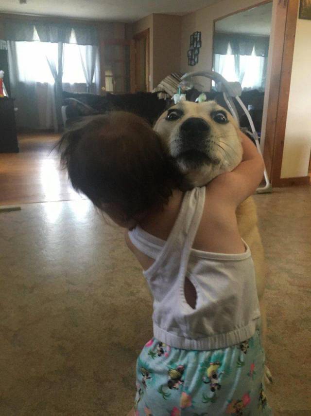 Daily Picdump