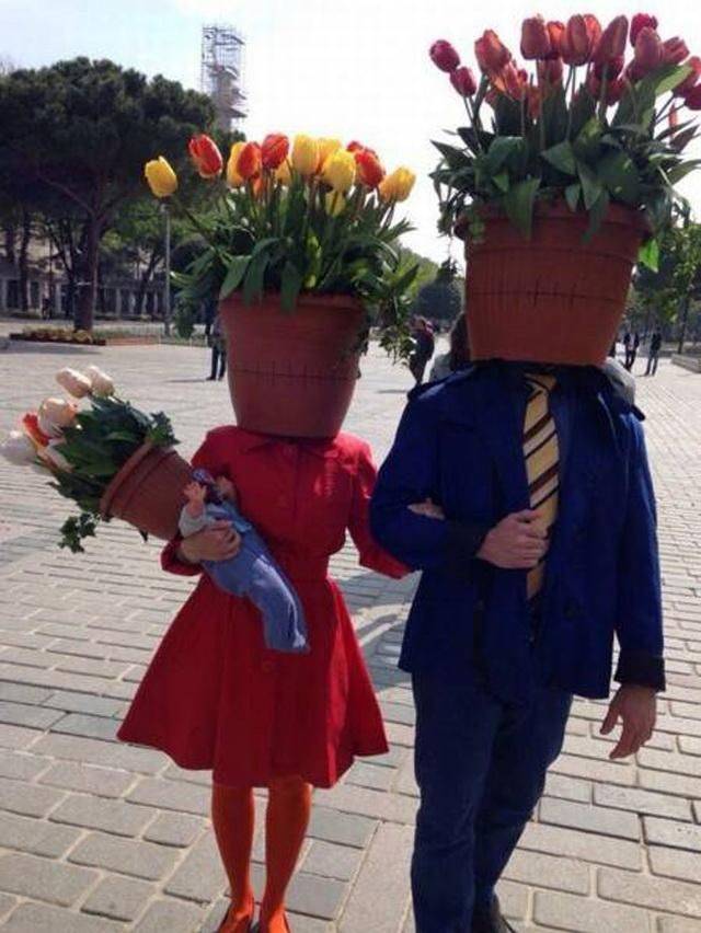 Daily Picdump
