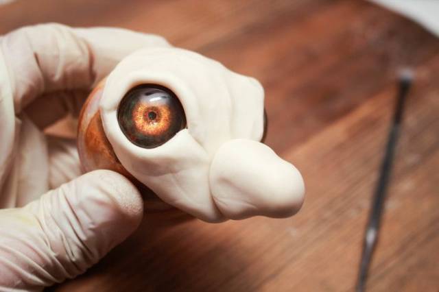 DIY Dragon Created By Hands Of A Simple Human