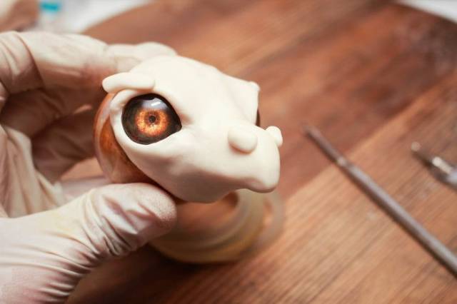 DIY Dragon Created By Hands Of A Simple Human